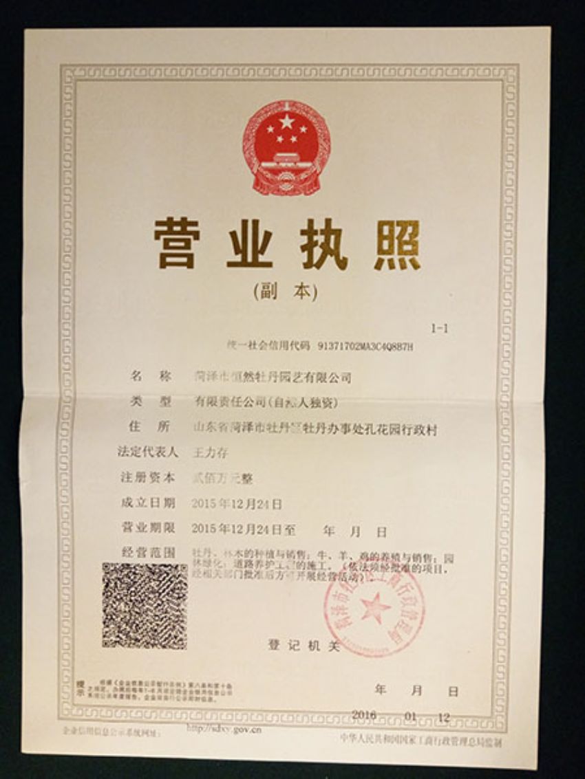 點(diǎn)擊查看詳細(xì)信息<br>標(biāo)題：營(yíng)業(yè)執(zhí)照 閱讀次數(shù)：1304