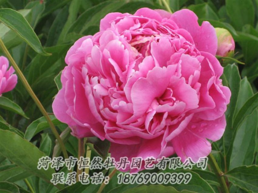 點(diǎn)擊查看詳細(xì)信息<br>標(biāo)題：月照山河 閱讀次數(shù)：1061